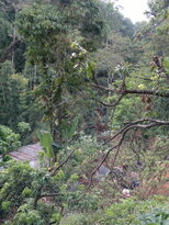thumb_180220111110.jpg