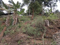 thumb_180220111111.jpg