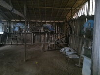 thumb_180220111113.jpg