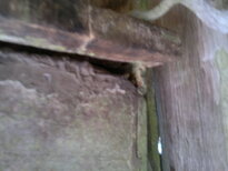 thumb_180220111116.jpg