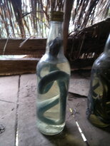 thumb_180220111118.jpg