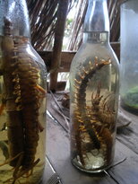 thumb_180220111119.jpg