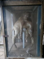 thumb_180220111120.jpg