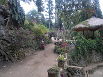 thumb_180220111124.jpg