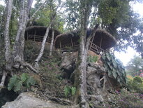thumb_180220111125.jpg