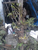 thumb_180220111126.jpg