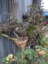 thumb_180220111127.jpg