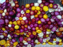thumb_180220111129.jpg