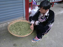 thumb_180220111131.jpg