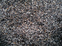 thumb_180220111132.jpg