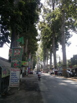 thumb_190220111135.jpg