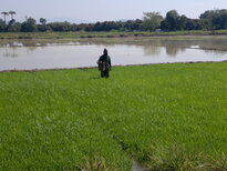 thumb_190220111136.jpg