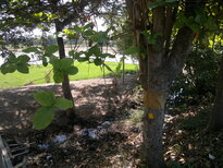 thumb_190220111141.jpg