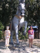 thumb_190220111145.jpg