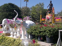thumb_190220111146.jpg