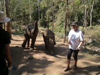 thumb_200220111155.jpg