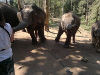 thumb_200220111156.jpg