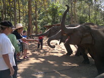 thumb_200220111158.jpg