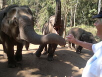thumb_200220111159.jpg