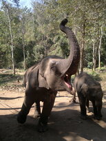 thumb_200220111163.jpg
