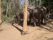 thumb_200220111164.jpg