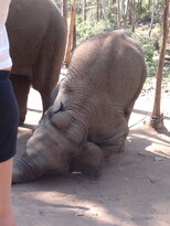 thumb_200220111165.jpg