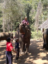thumb_200220111167.jpg