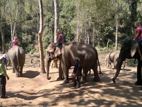 thumb_200220111168.jpg