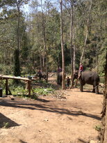 thumb_200220111169.jpg