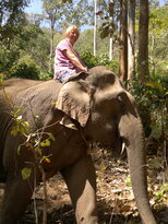 thumb_200220111171.jpg