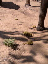 thumb_200220111174.jpg