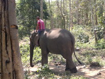 thumb_200220111177.jpg