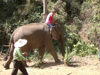 thumb_200220111180.jpg