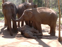 thumb_200220111184.jpg