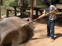 thumb_200220111185.jpg