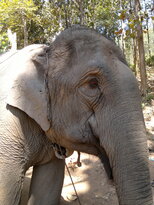 thumb_200220111186.jpg