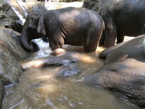 thumb_200220111188.jpg