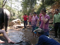 thumb_200220111189.jpg