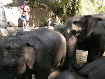 thumb_200220111191.jpg