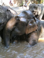 thumb_200220111193.jpg