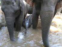 thumb_200220111194.jpg