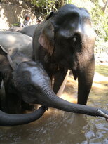 thumb_200220111195.jpg