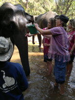 thumb_200220111196.jpg
