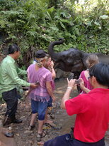 thumb_200220111200.jpg