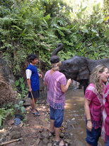 thumb_200220111201.jpg