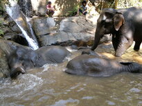 thumb_200220111203.jpg