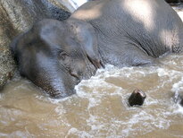 thumb_200220111205.jpg