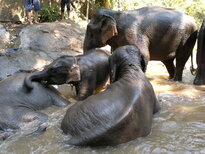thumb_200220111207.jpg