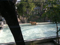 thumb_200220111209.jpg