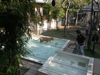 thumb_200220111210.jpg